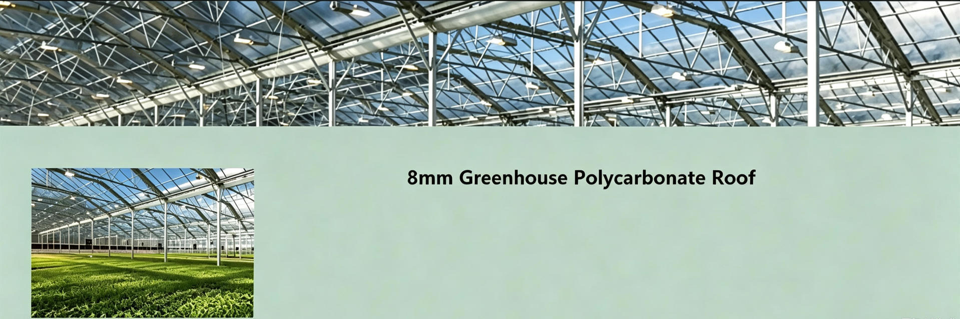 Quality PP Plastic Board factory